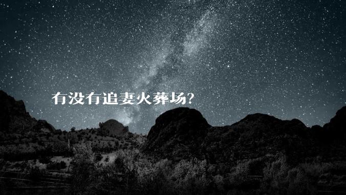 有没有追妻火葬场？