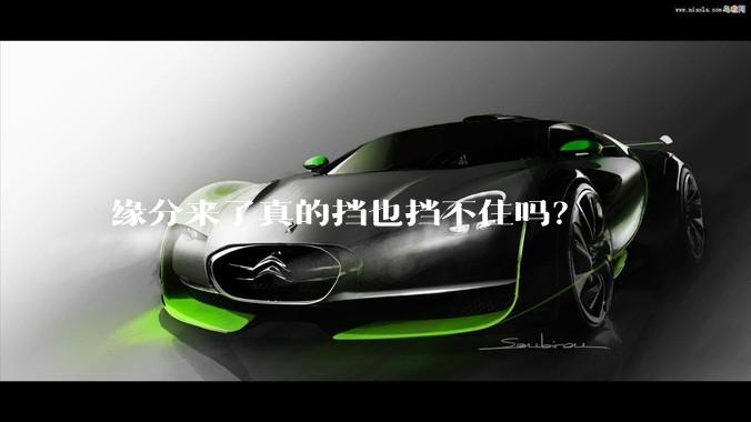 缘分来了真的挡也挡不住吗？