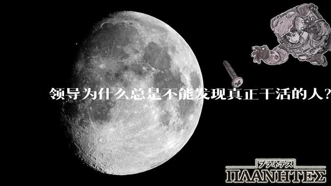 领导为什么总是不能发现真正干活的人？