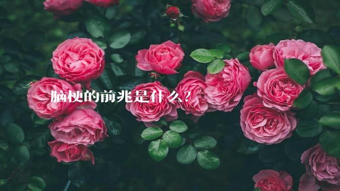 脑梗的前兆是什么？