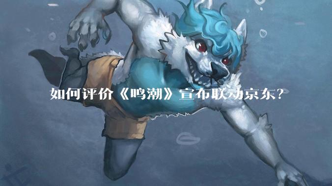 如何评价《鸣潮》宣布联动京东？