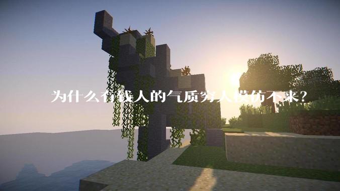 为什么有钱人的气质穷人模仿不来？