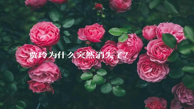 贾玲为什么突然消失了？