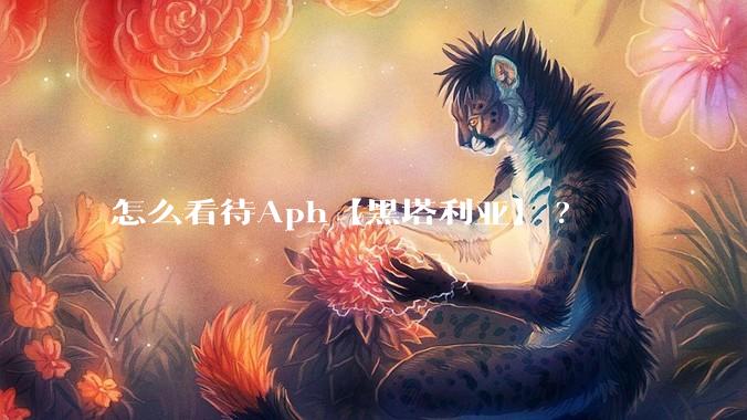 怎么看待Aph【黑塔利亚】?