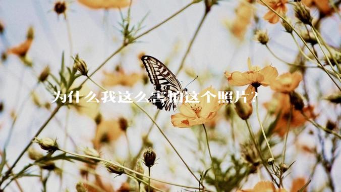 为什么我这么害怕这个照片？