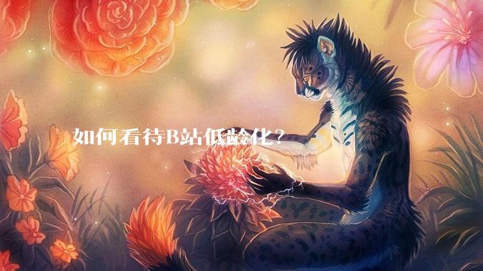 如何看待B站低龄化？